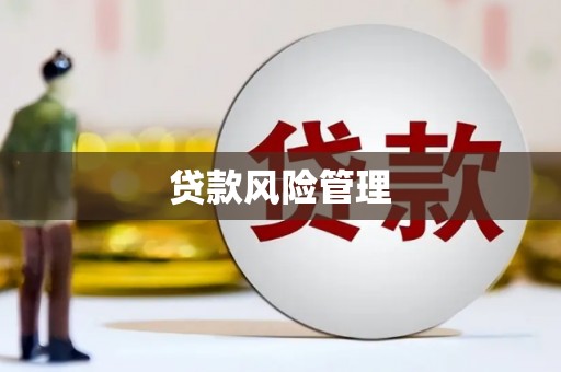崆峒贷款风险管理