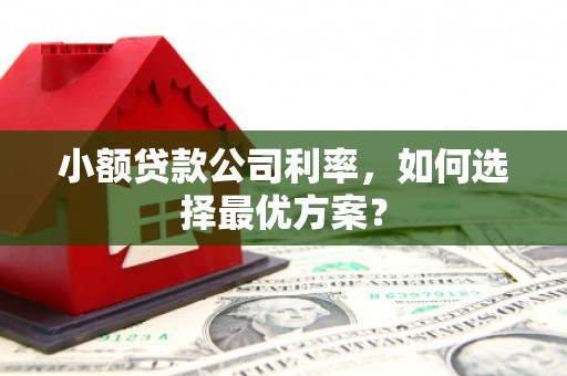 崆峒小额贷款公司利率，如何选择最优方案？