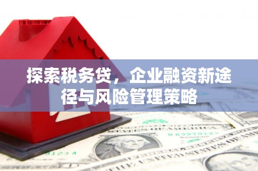 崆峒探索税务贷，企业融资新途径与风险管理策略