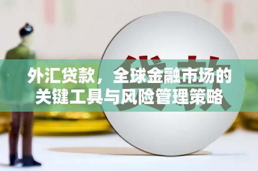 崆峒外汇贷款，全球金融市场的关键工具与风险管理策略