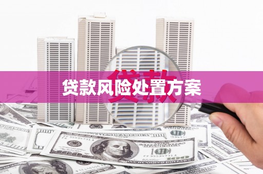 崆峒贷款风险处置方案