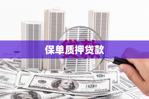 崆峒保单质押贷款