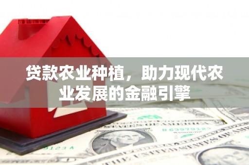 崆峒贷款农业种植，助力现代农业发展的金融引擎