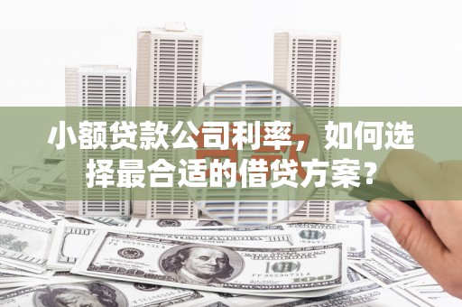 崆峒小额贷款公司利率，如何选择最合适的借贷方案？