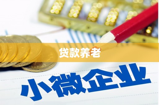 崆峒贷款养老