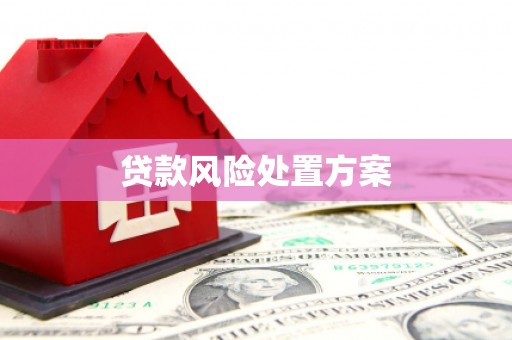 崆峒贷款风险处置方案