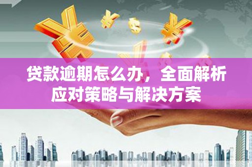 崆峒贷款逾期怎么办，全面解析应对策略与解决方案