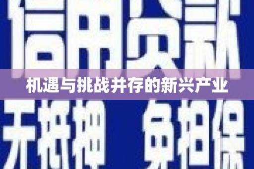 崆峒机遇与挑战并存的新兴产业