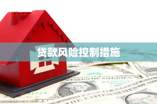 崆峒贷款风险控制措施