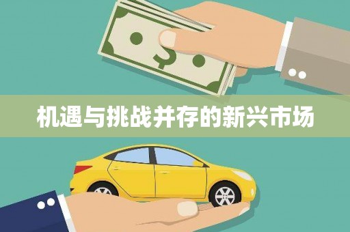 崆峒机遇与挑战并存的新兴市场