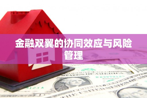 崆峒金融双翼的协同效应与风险管理