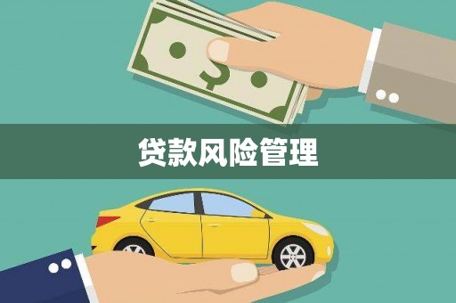 崆峒贷款风险管理