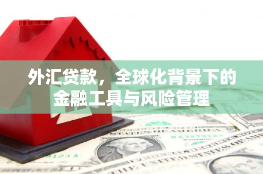 崆峒外汇贷款，全球化背景下的金融工具与风险管理