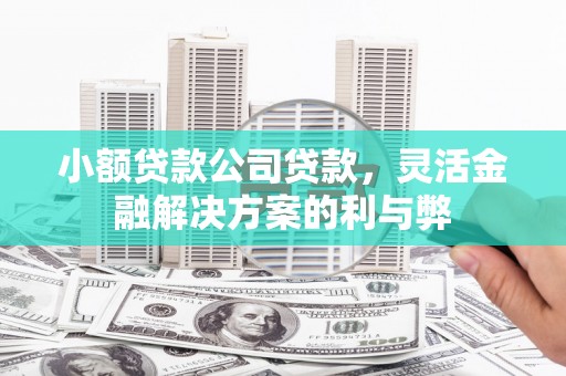 崆峒小额贷款公司贷款，灵活金融解决方案的利与弊